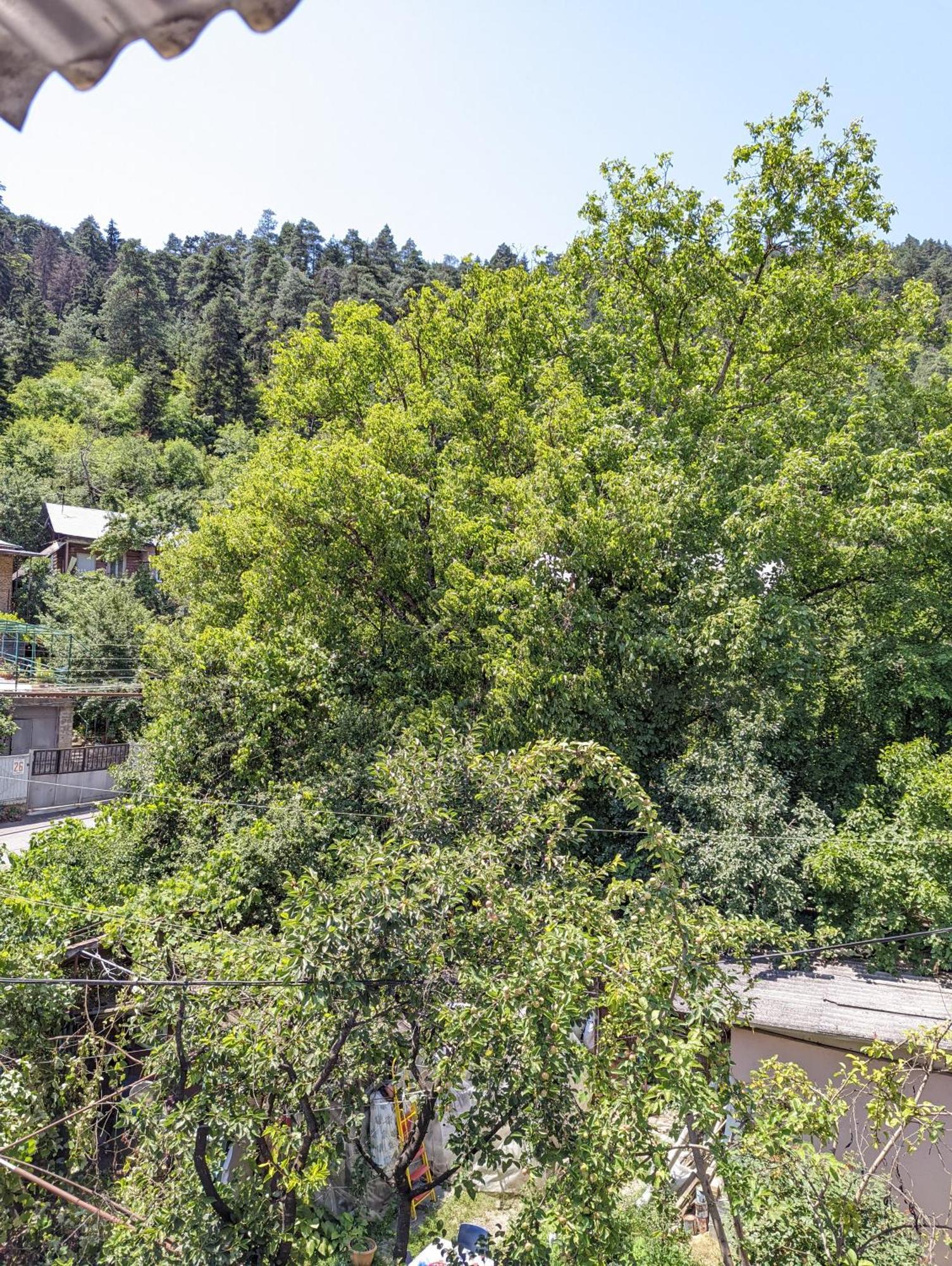 Готель Dalko Боржомі Номер фото